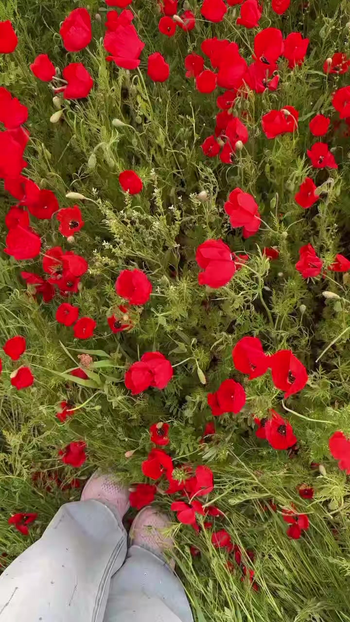 @Mashhura_8689