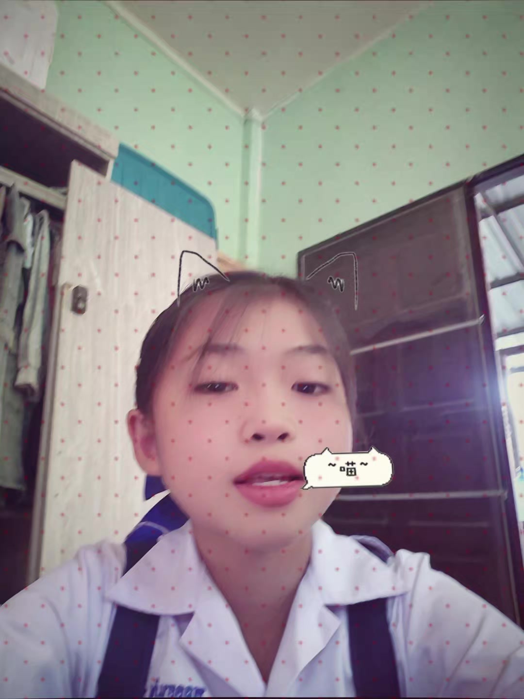 @🐼