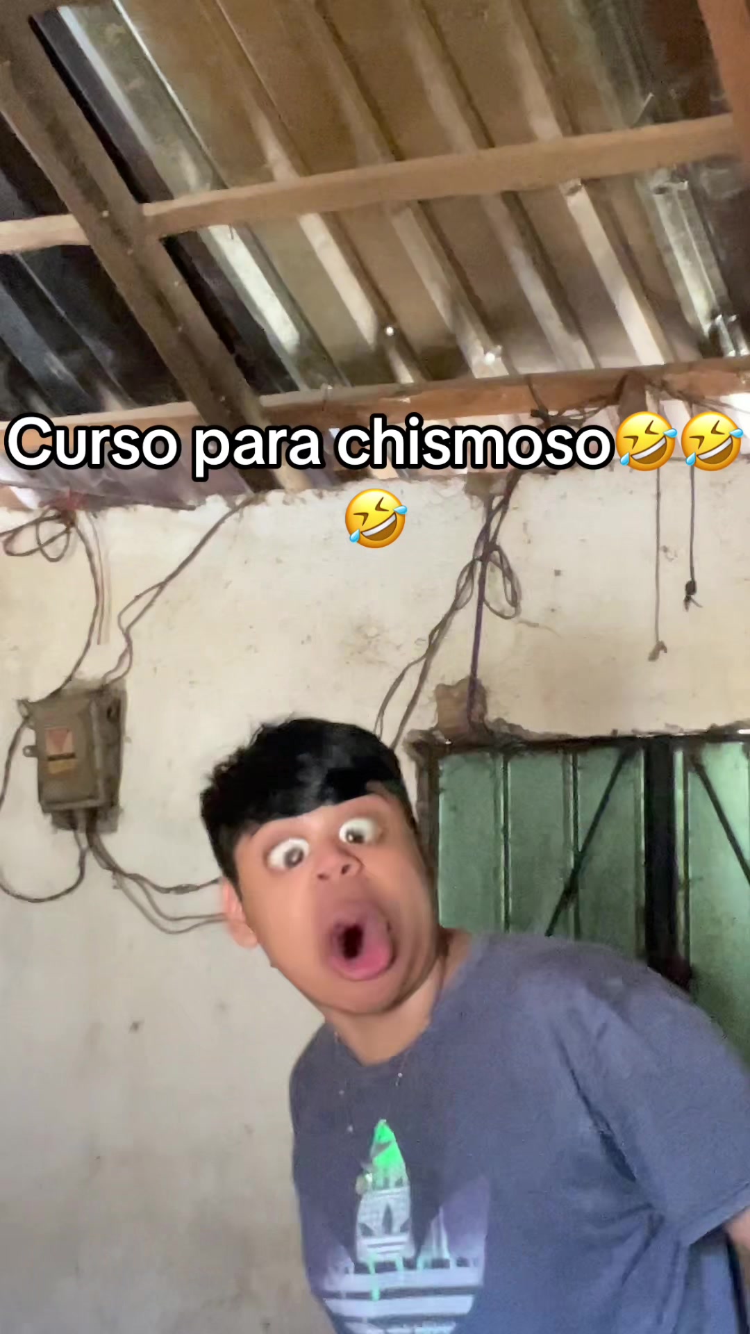 @🐍Angelito🐍