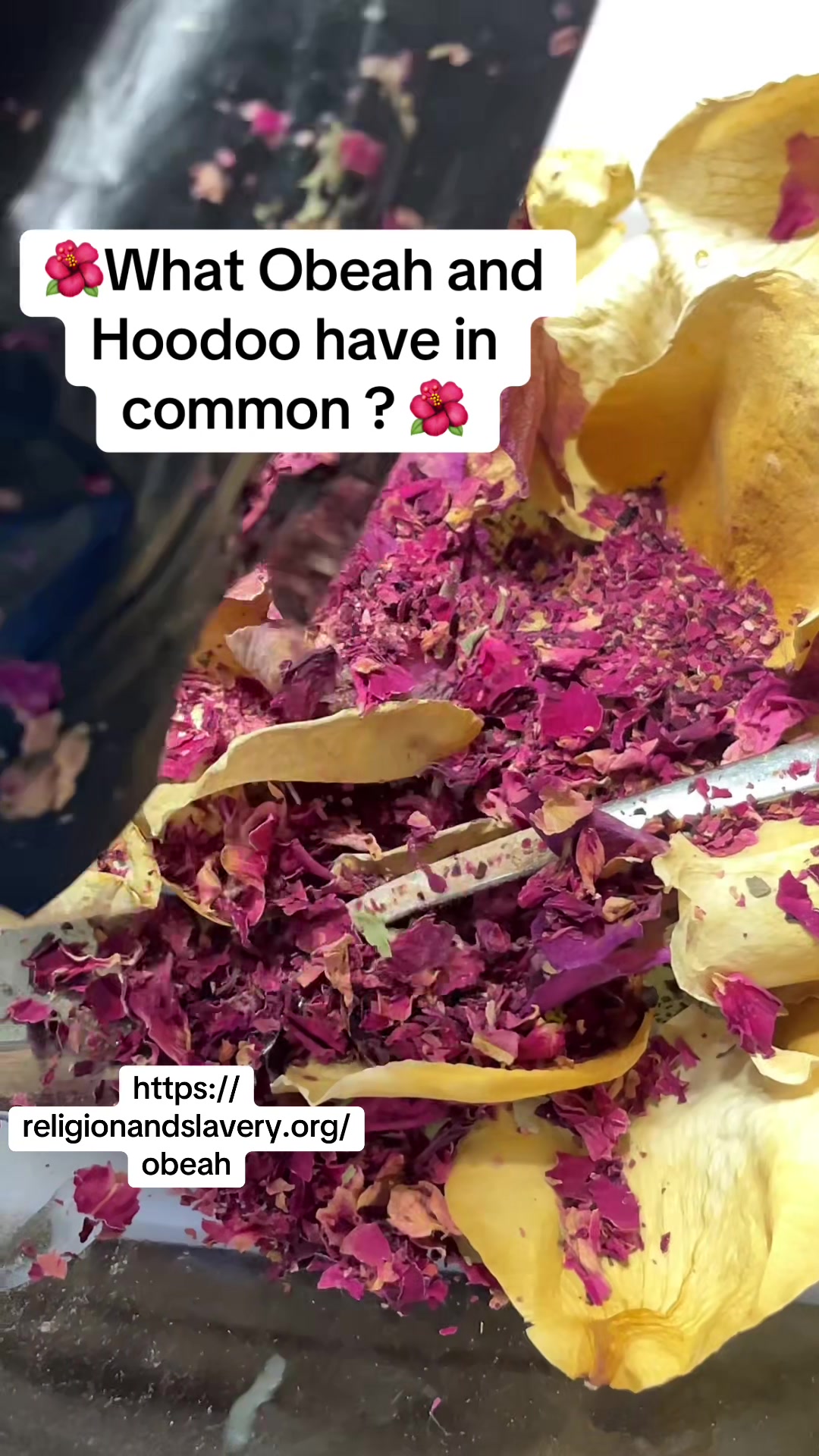 @Owl