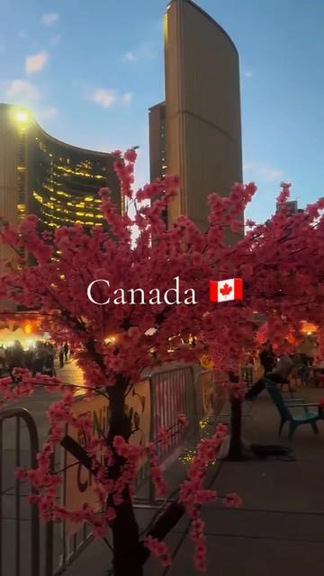 @𝕶𝖆𝖗𝖑𝖆 𝕸𝖎𝖑𝖑𝖊🇨🇦🇨🇷