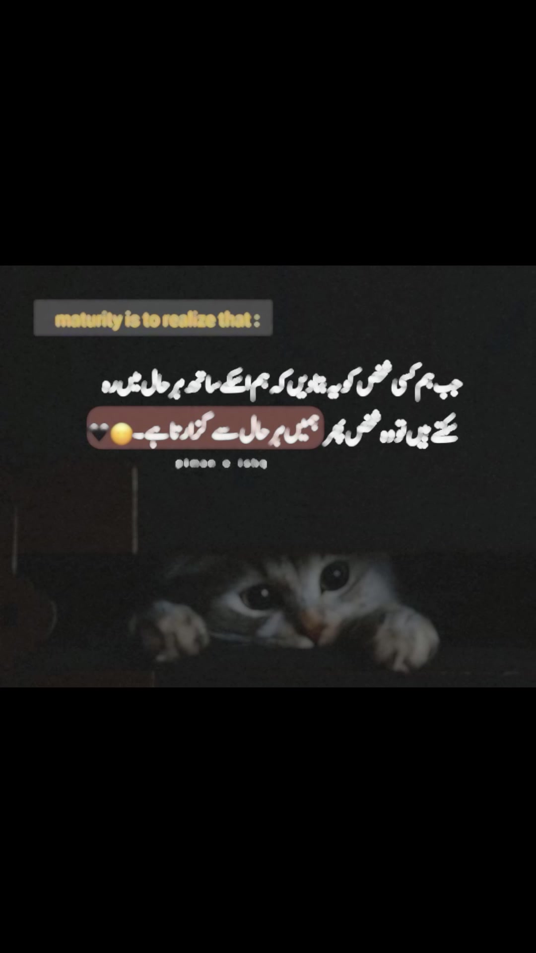 @تنہا لڑکا۔،،🥀