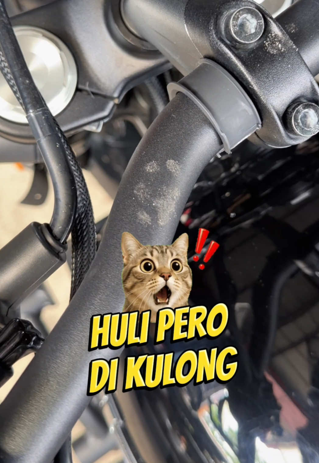 @MevuMoto