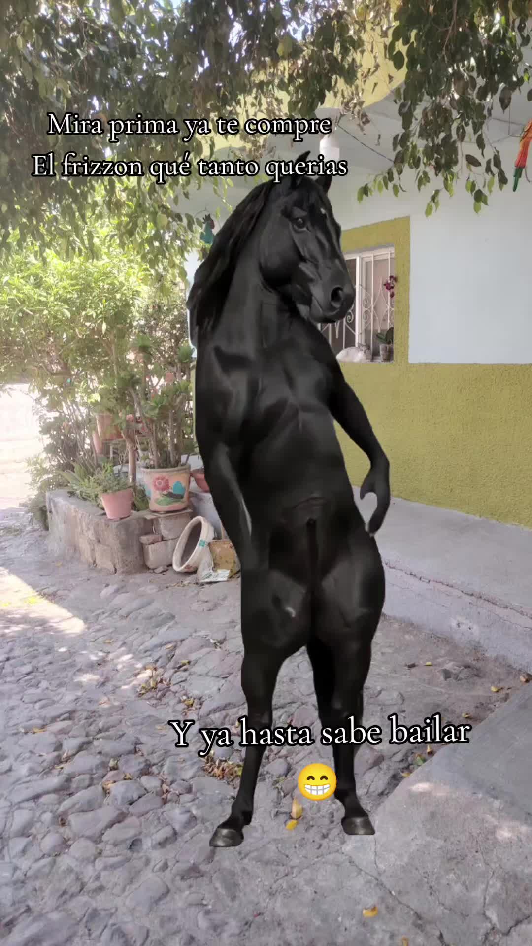 @💗🐎Tu vaquerita🐎💗