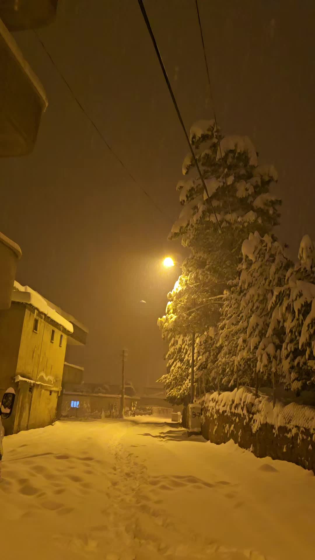 @Zaza Kızı