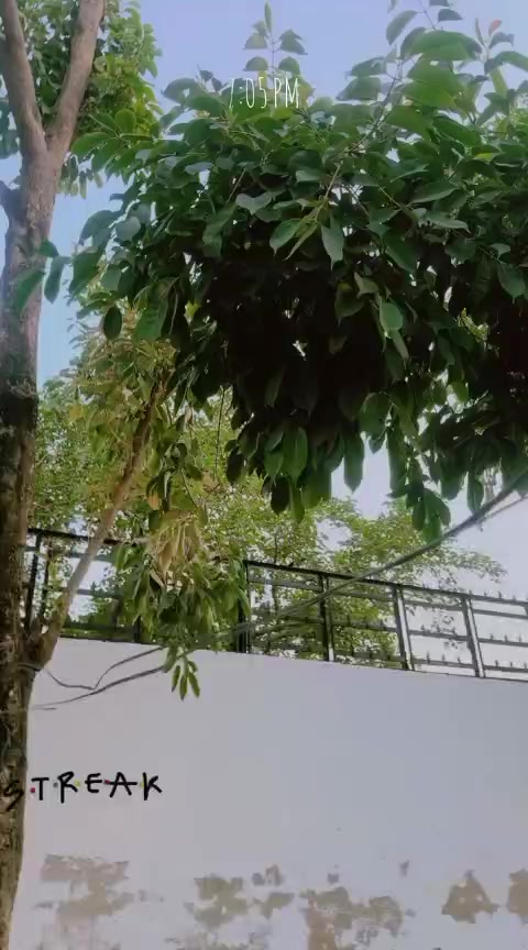 @rehan ali