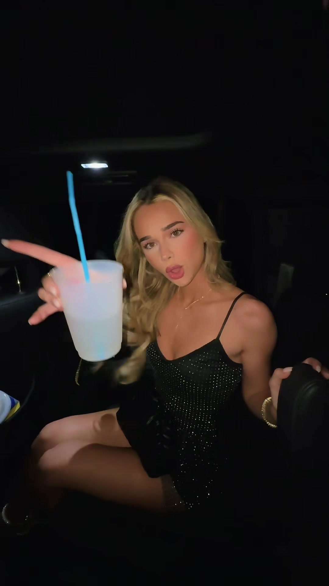 @aneleiselovett