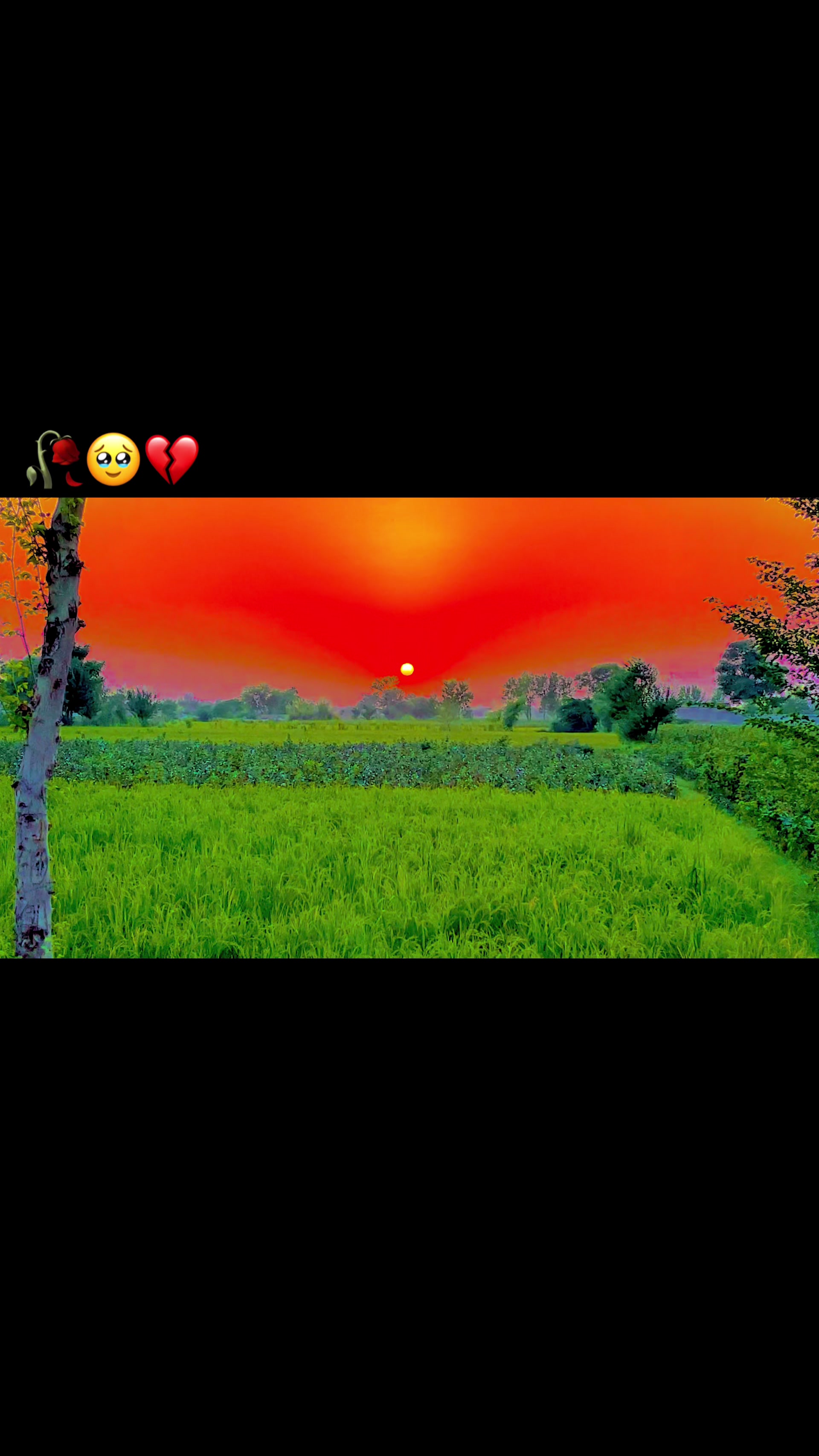 @🌾میں۔ میرا۔ پنڈ🎋