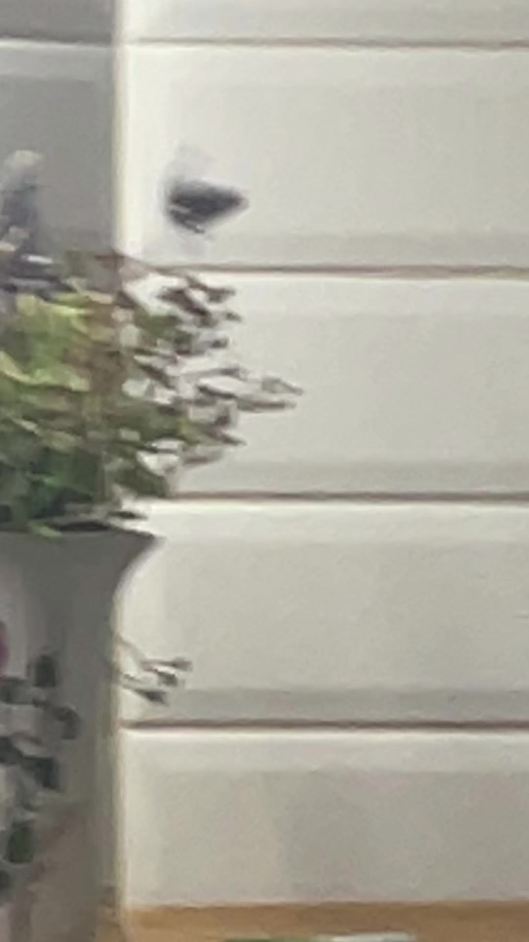 @๐๐ธ๐๐ฑ๐ฎ๐ฟ๐ท๐ฒ๐ด๐ธ๐ฟa โค๏ธ๐ฅ