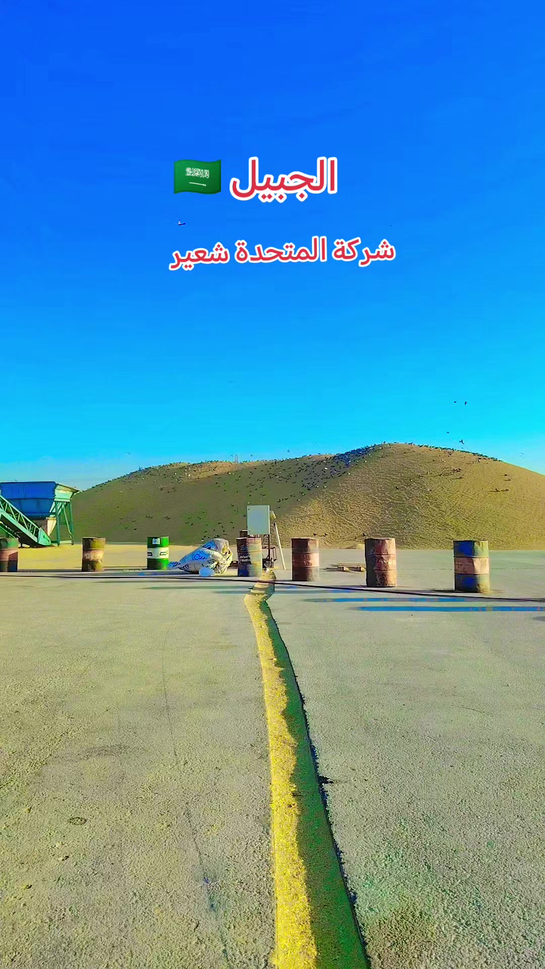 @༄᭄✿🇵ʀɪNᴄᴇ★࿐