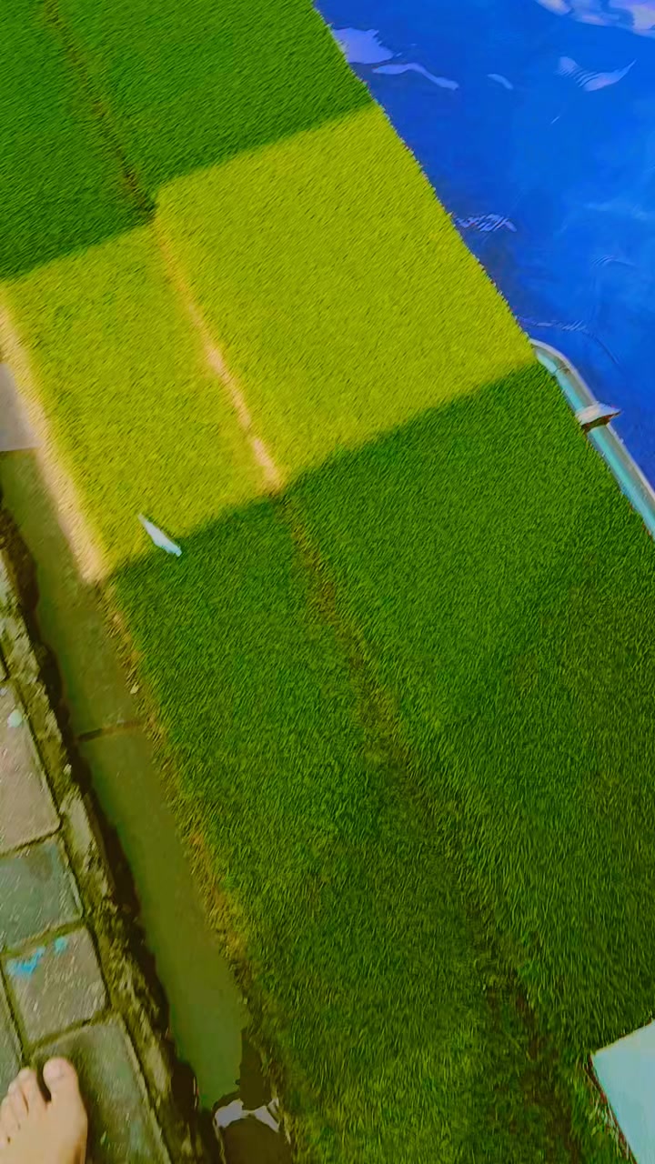 @༺𝕮͚𝖍͚𝖆͚𝖓͚𝖉͚𝖆͚𝖇͚𝖆͚𝖇͚𝖚