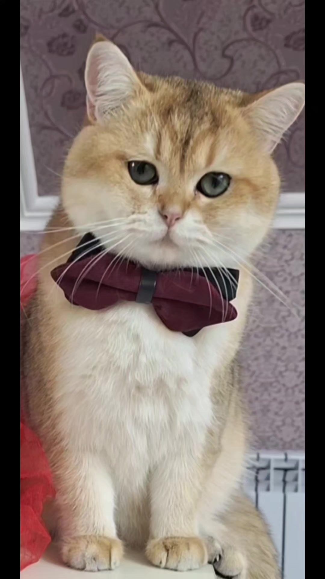 @Zoo_JASMİN🦂🥰