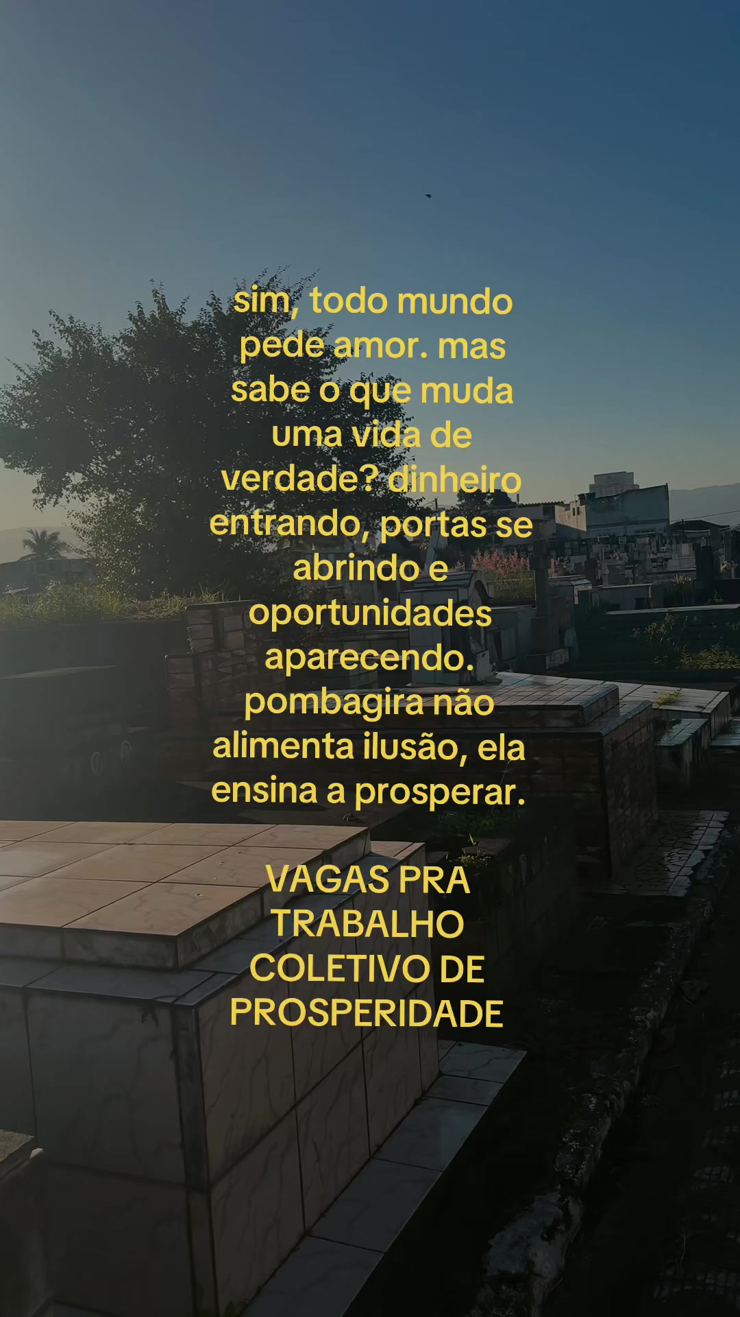 @BARBARA | CARTOMANTE