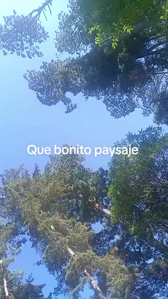 @❤️❤️❤️❤️ te amo capibara