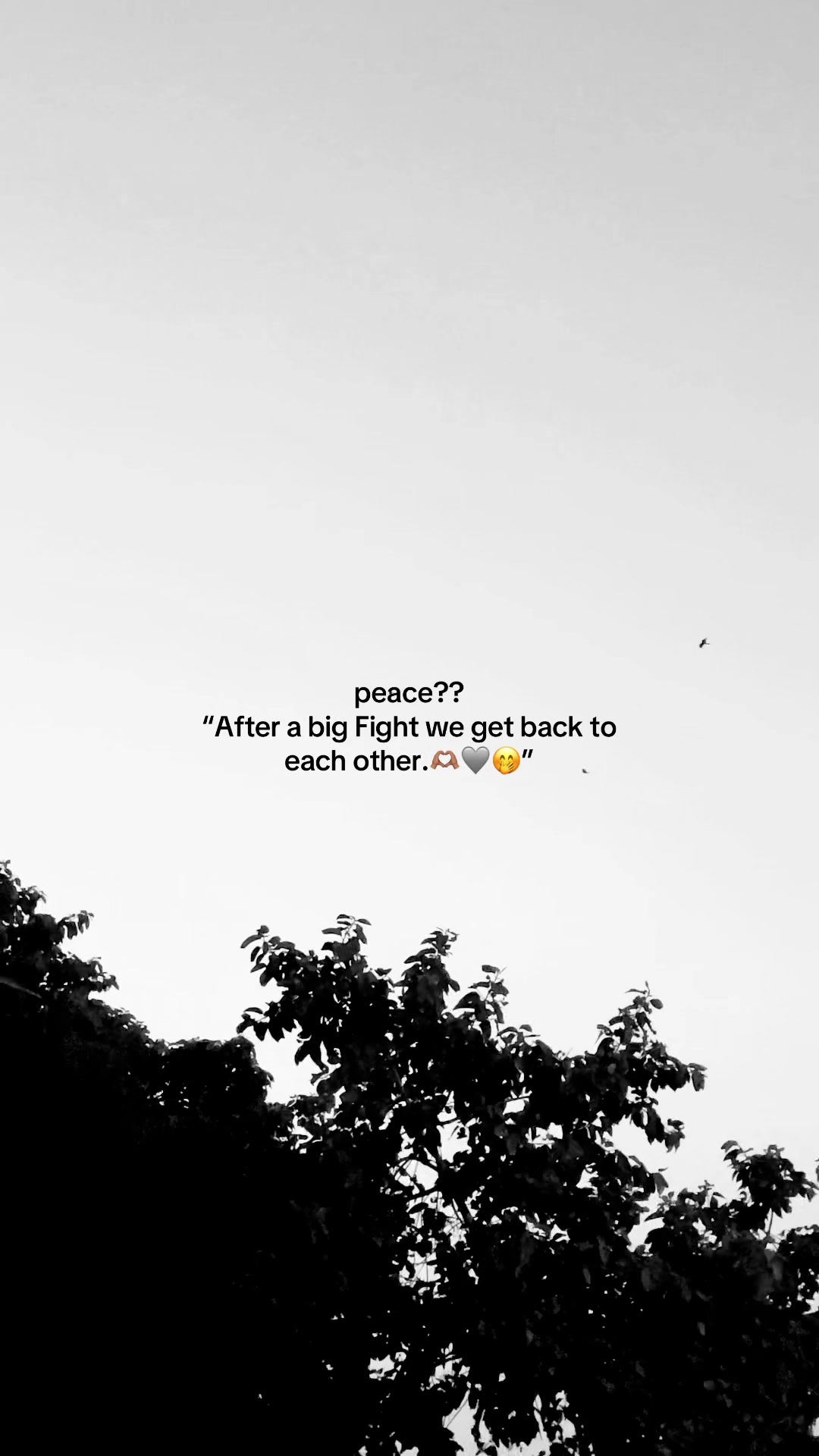 @🦇
