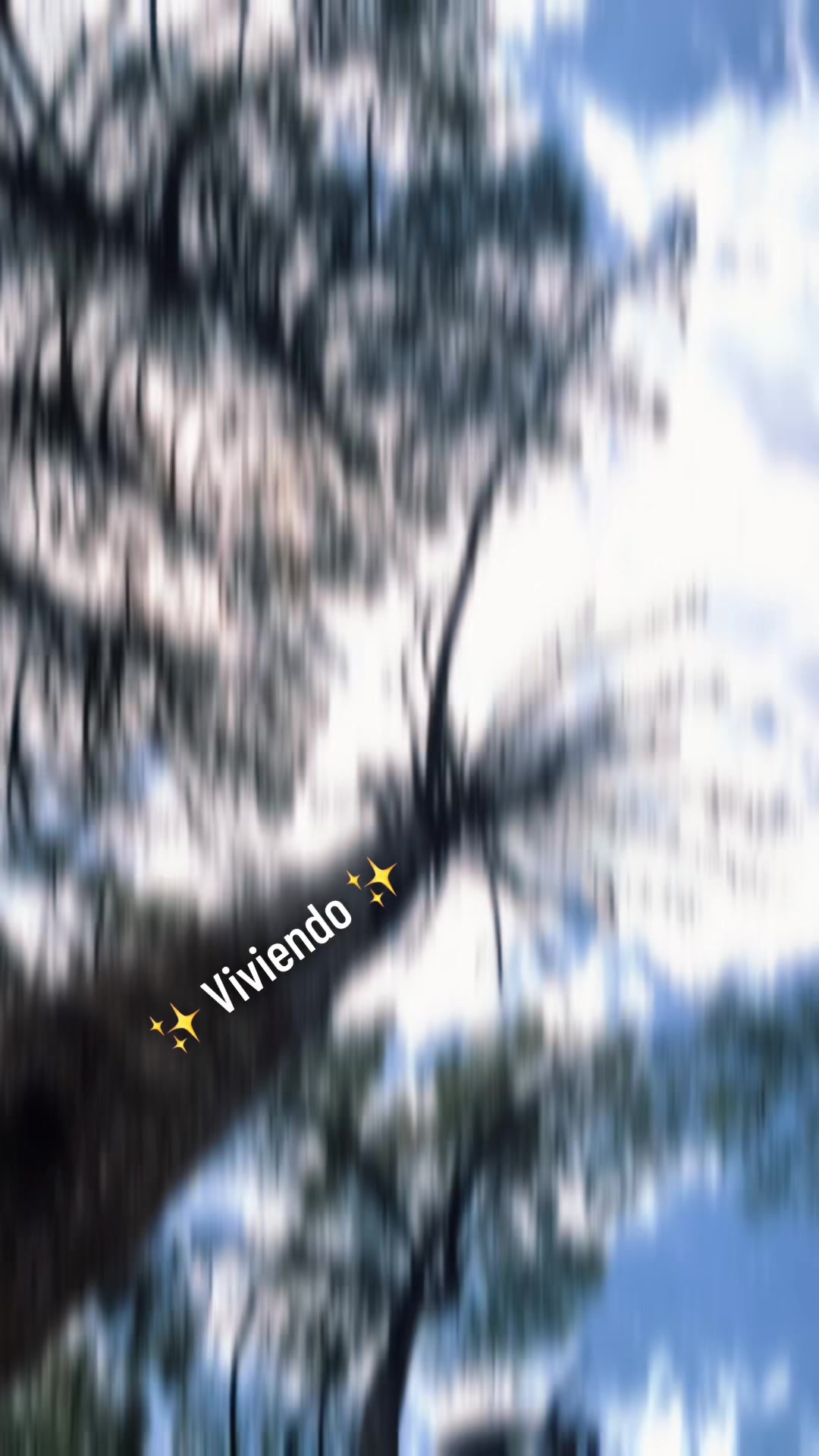 @🌺 𝓘𝓿𝓪𝓷𝓬𝓪 🌺