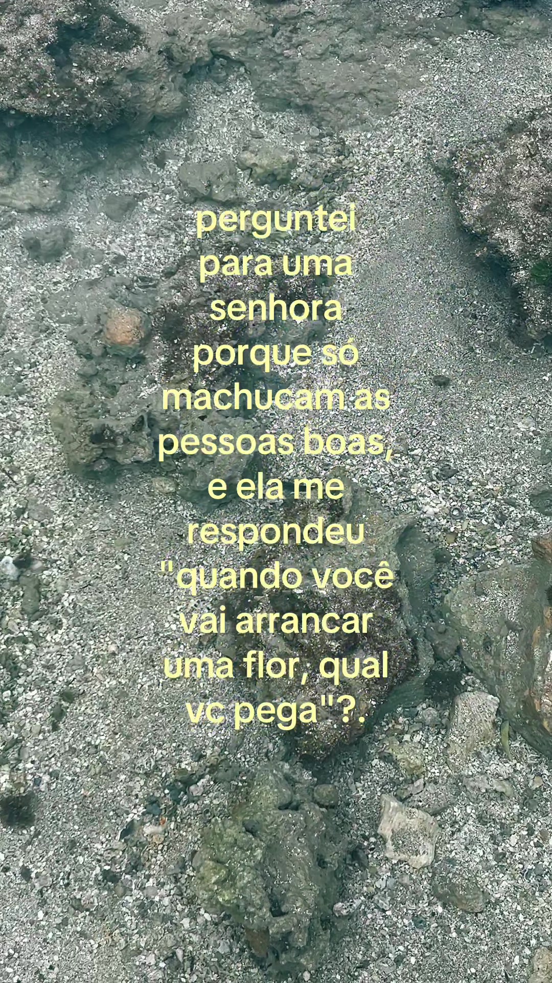 @isinhaa025