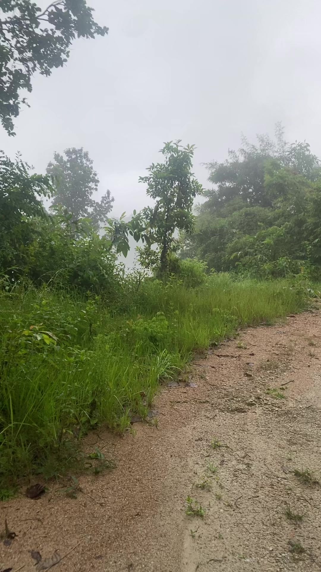 @थानेश्वर ज्ञवाली