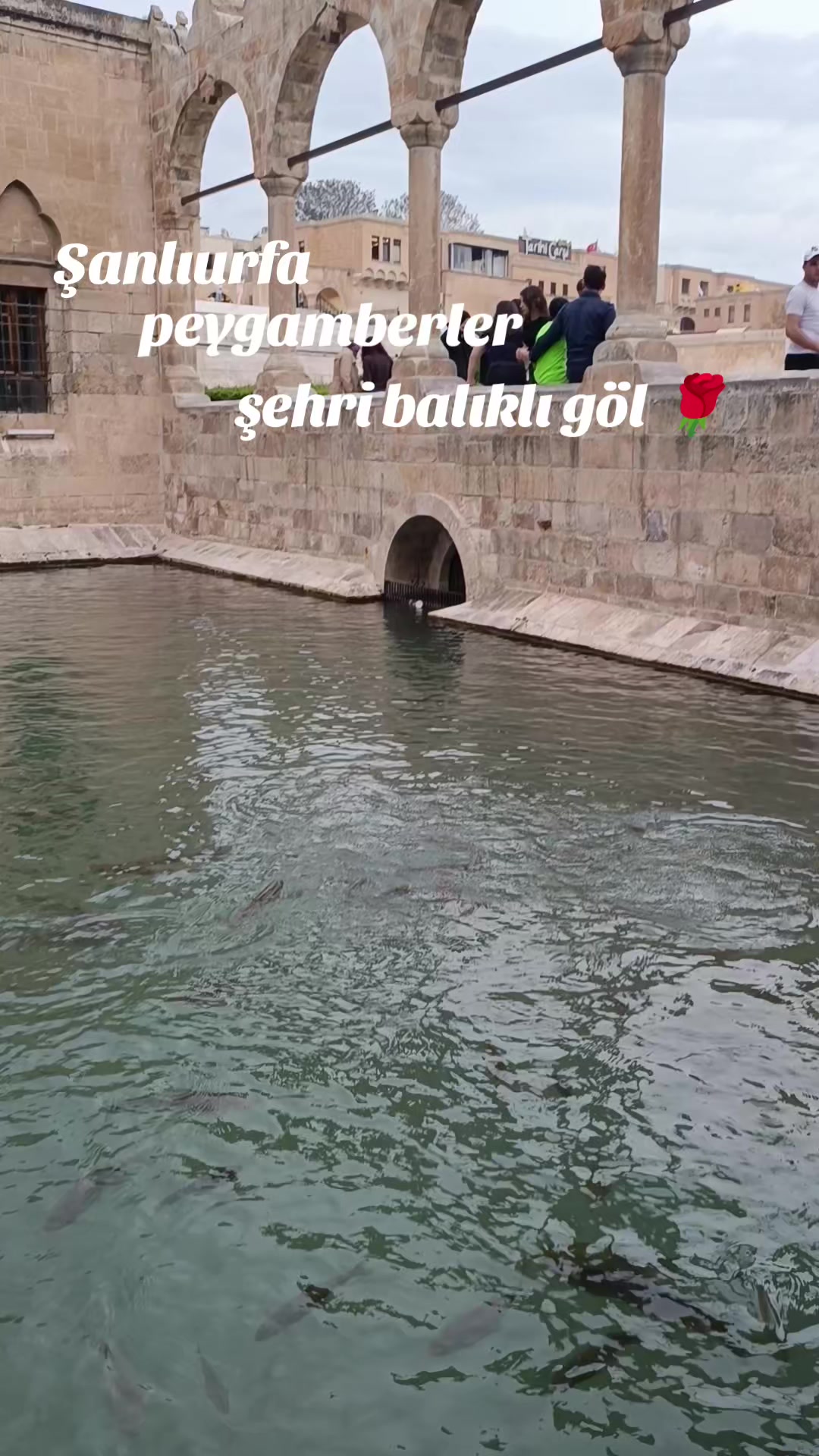 @🥀 @SUSKUN Y&Uuml;REĞİM 🥀