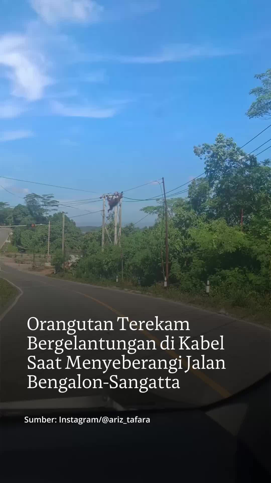 @mongabayindonesia