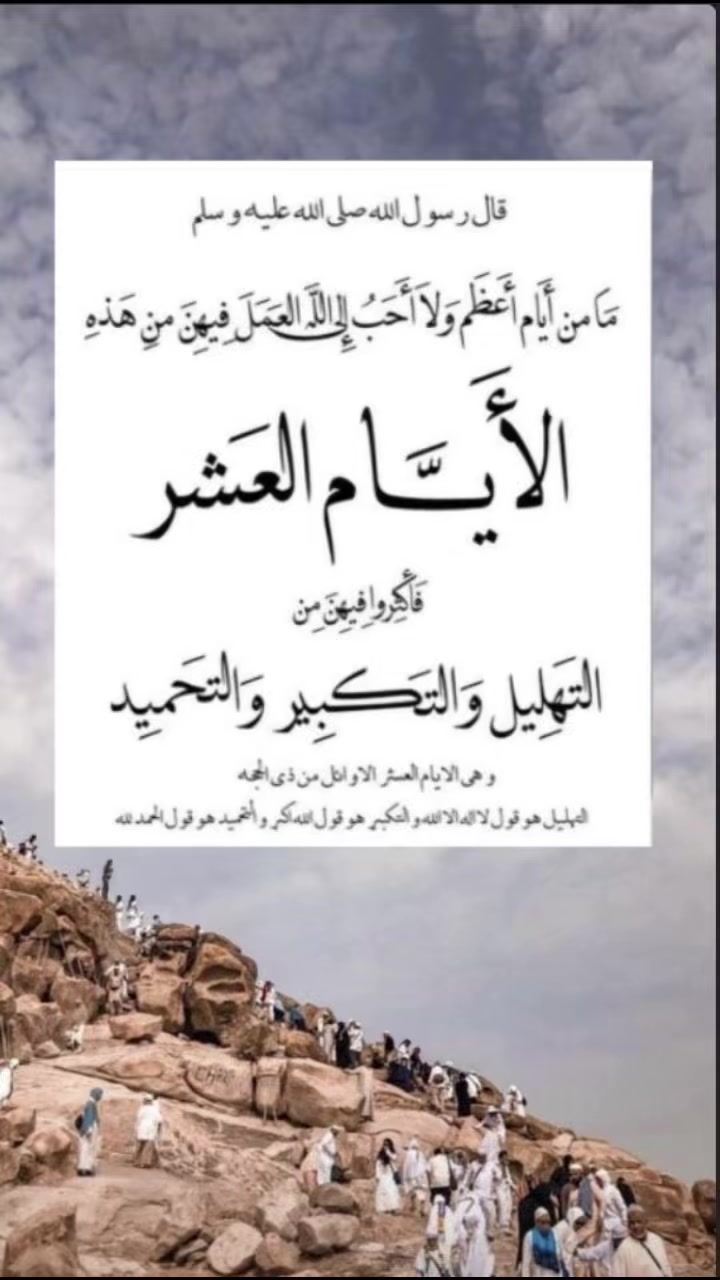 @Omfarouk_7