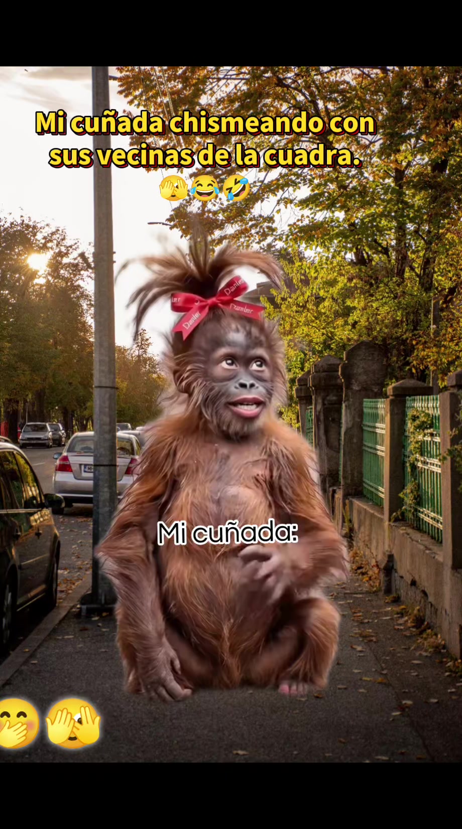 @💞🍬 𝓼Į𝕘𝓷Ỗ ᶜ𝓪ᑎ𝔠εr ✍️ 😎