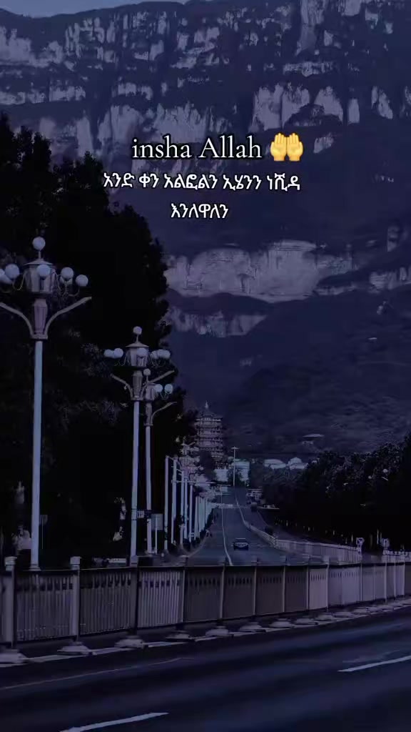 @Amjed