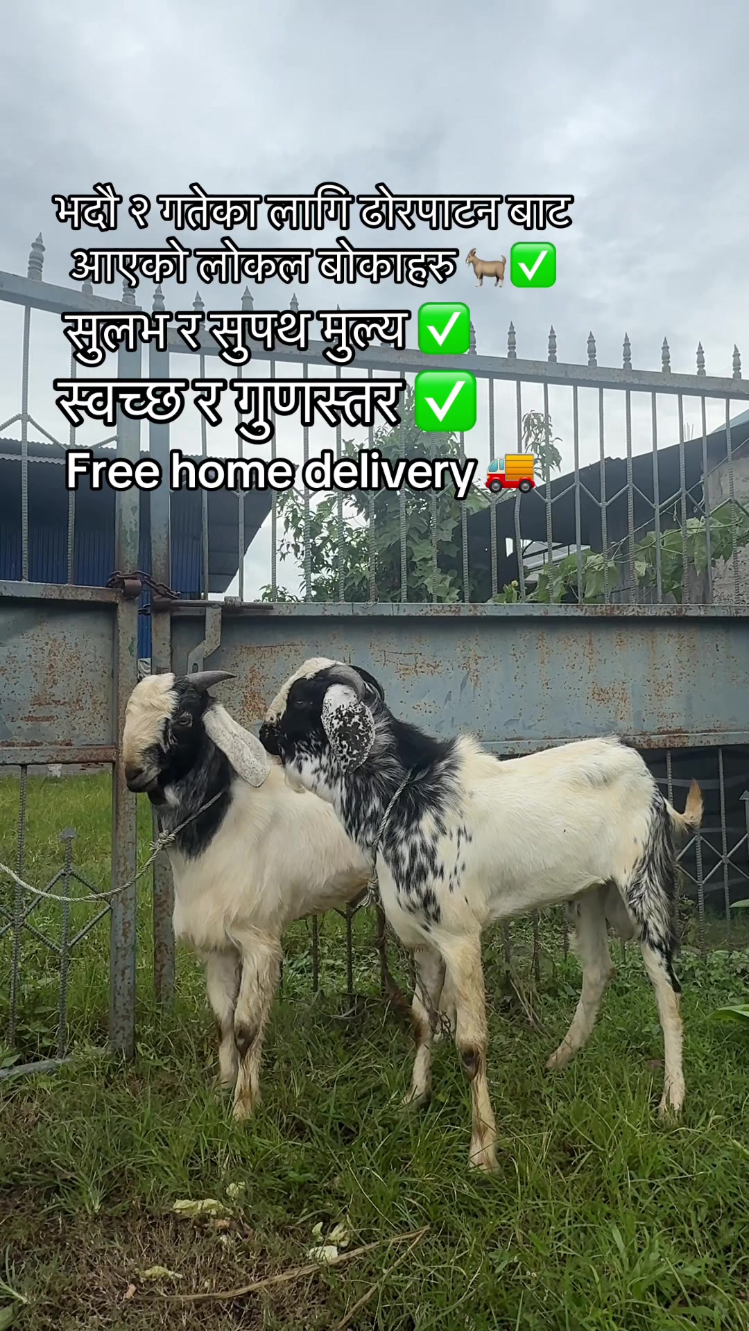 @दोस्ति टु मिट सप