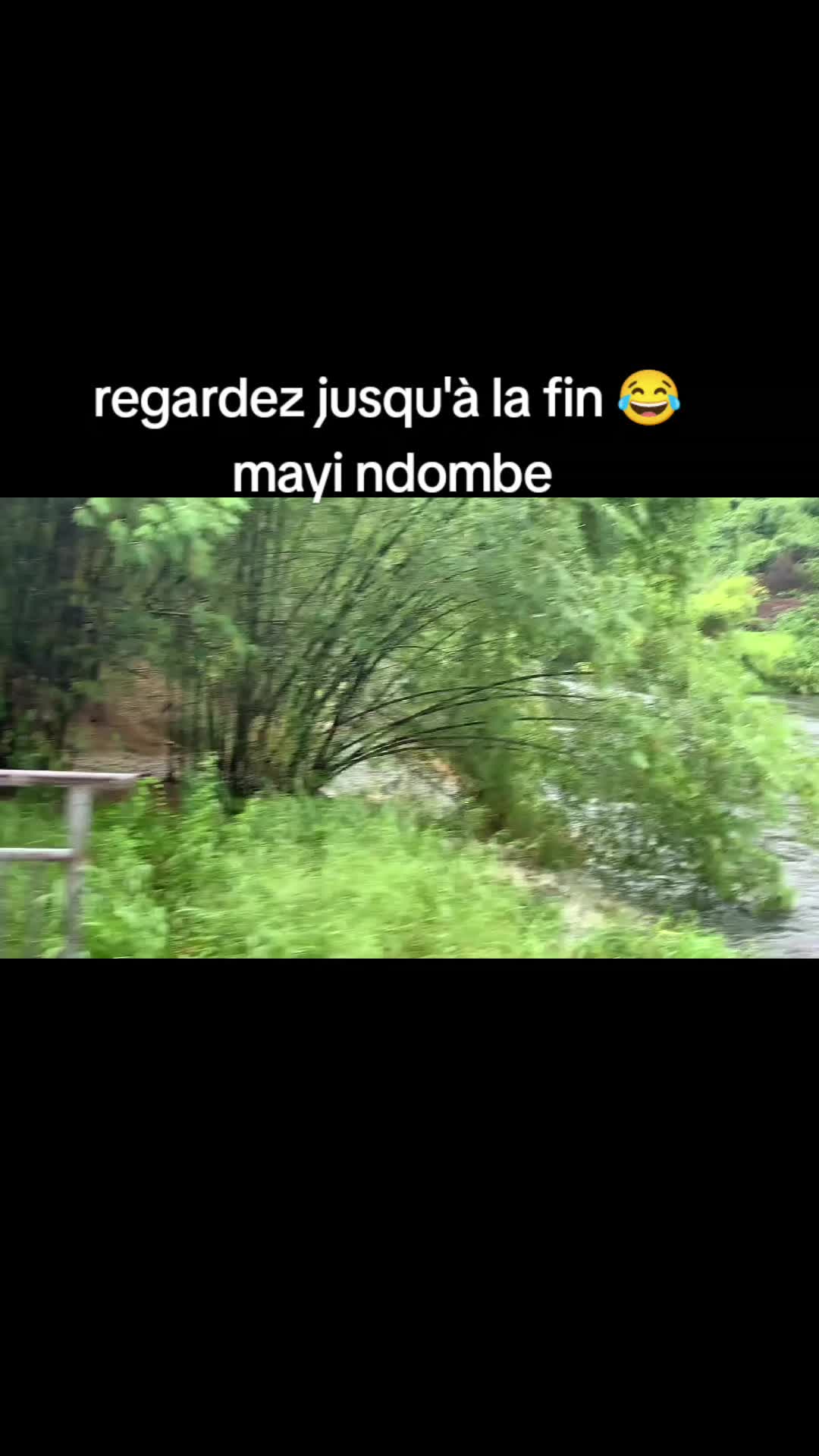 @DIEGO PANDA🔵