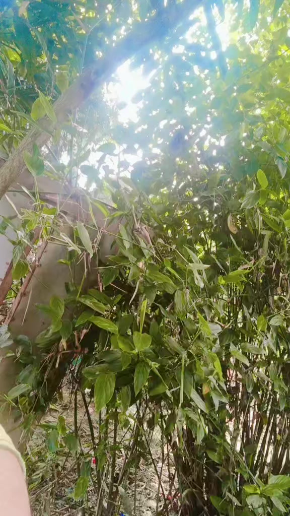 @কষ্টের জীবন আমার😭😭