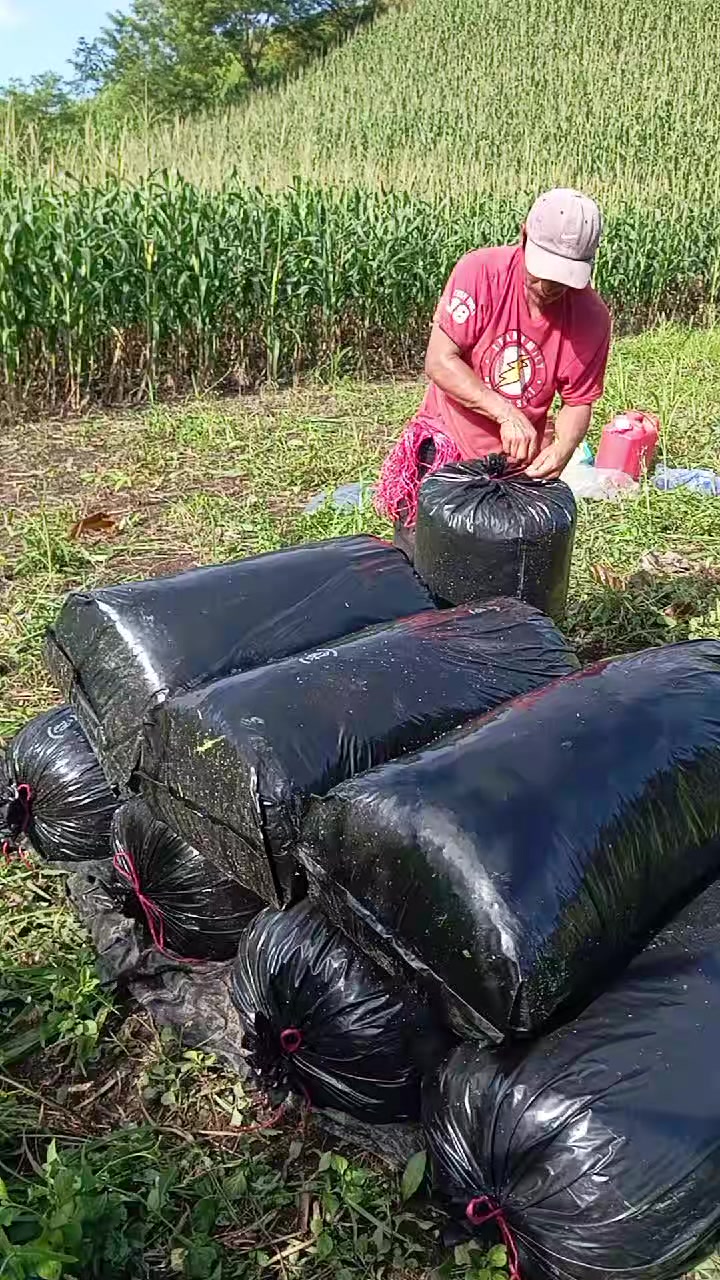 @user79817016631184