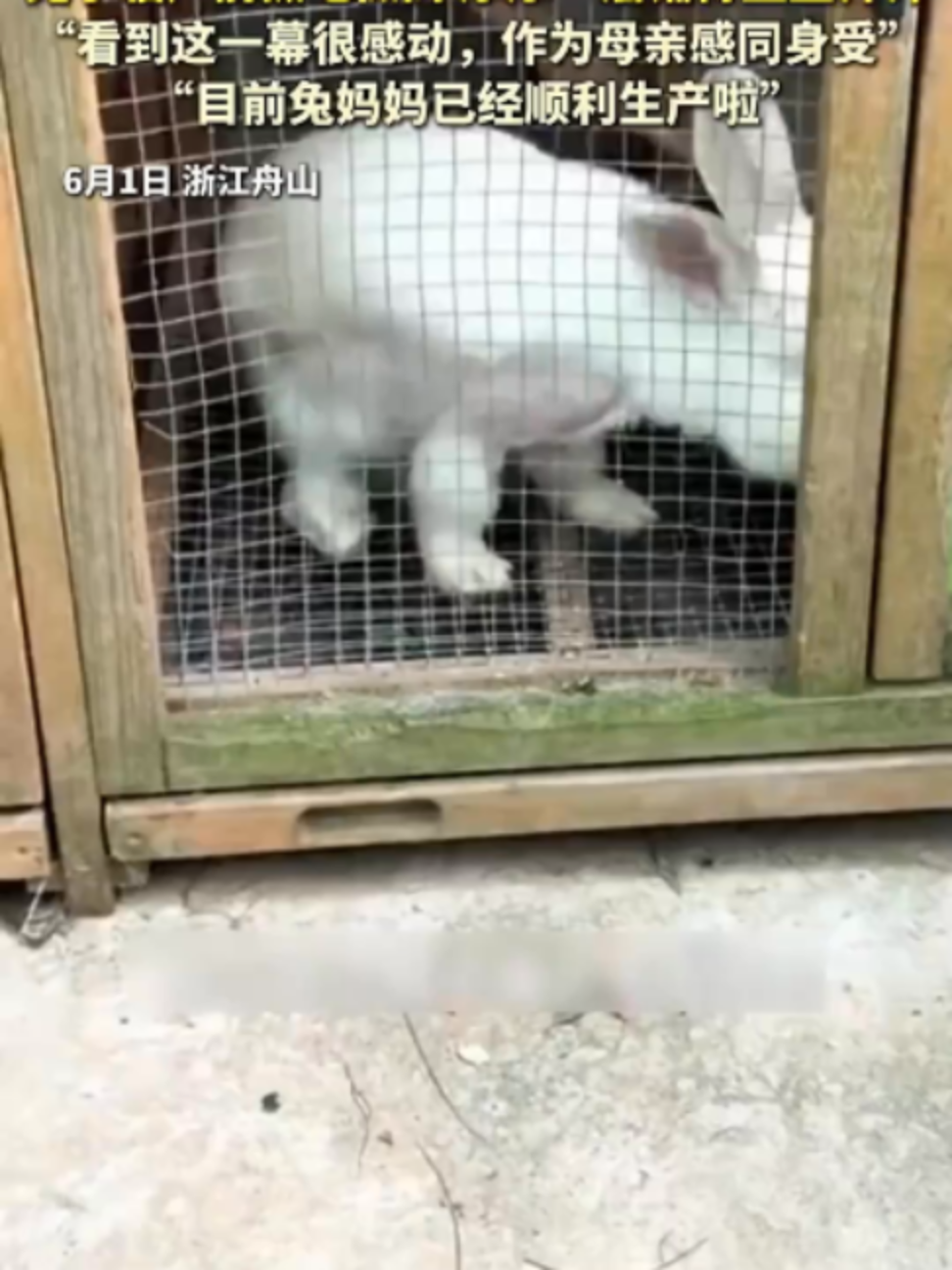 @中国蓝国际