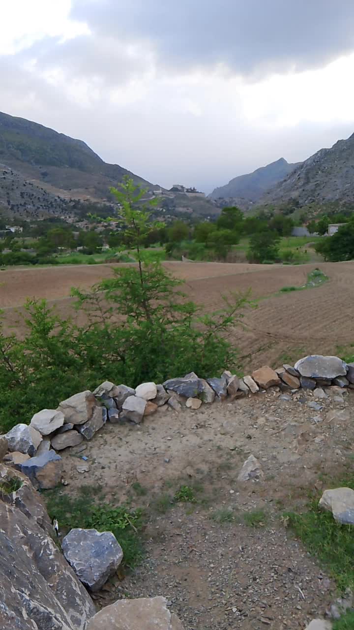 @barkatkhan5972