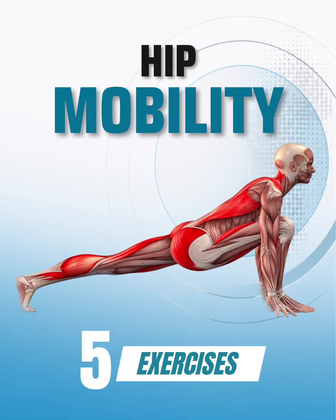 @PT Vitals | Mobility