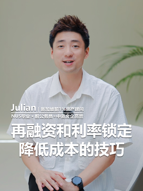 @狮城小诸