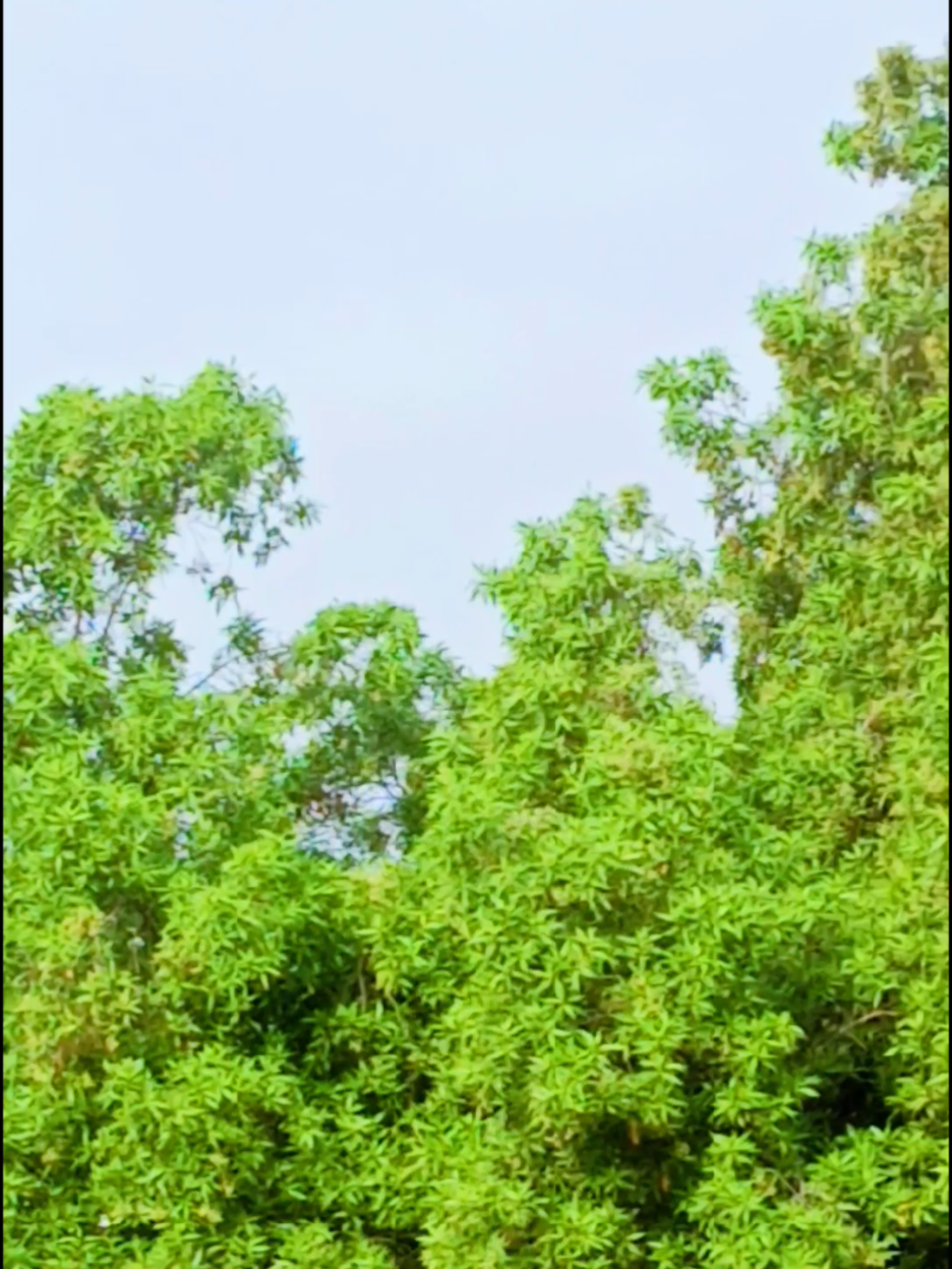 @آسماء سومرو