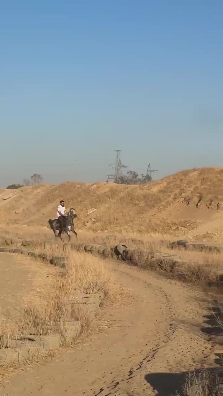 @تركي رزوق