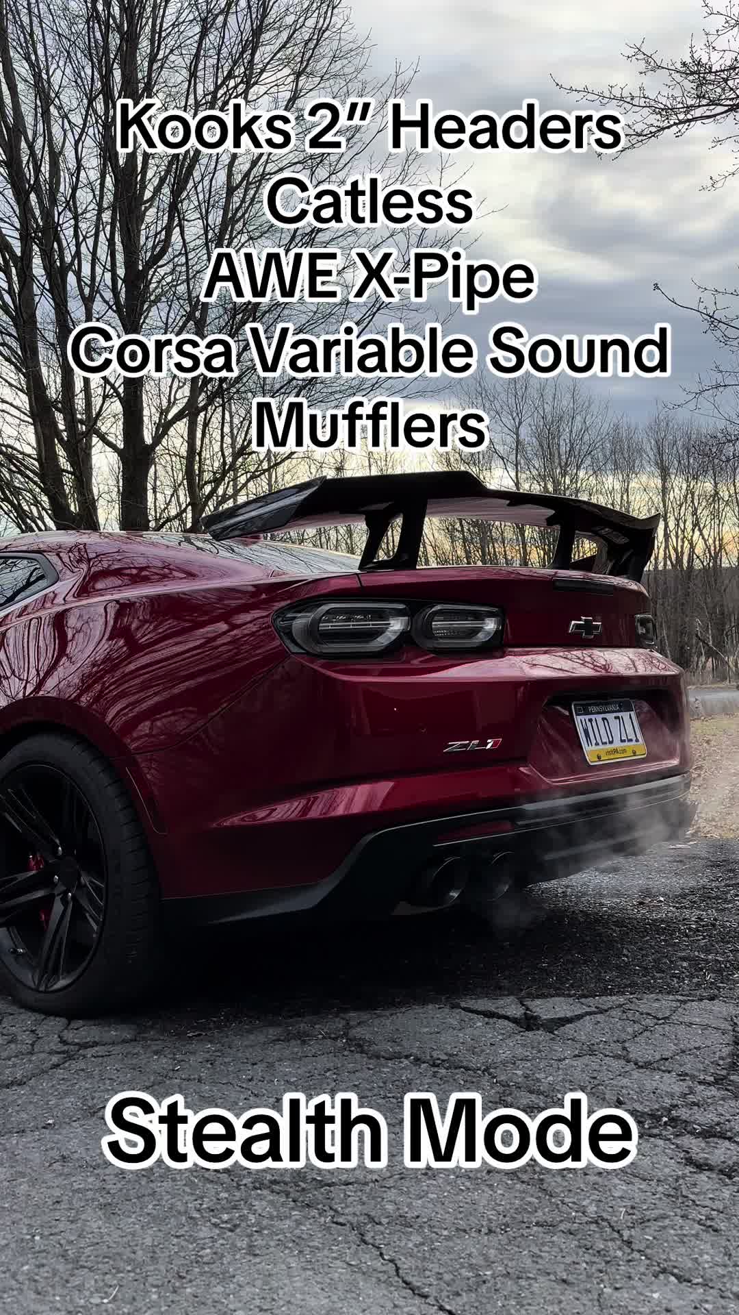 @VR ZL1