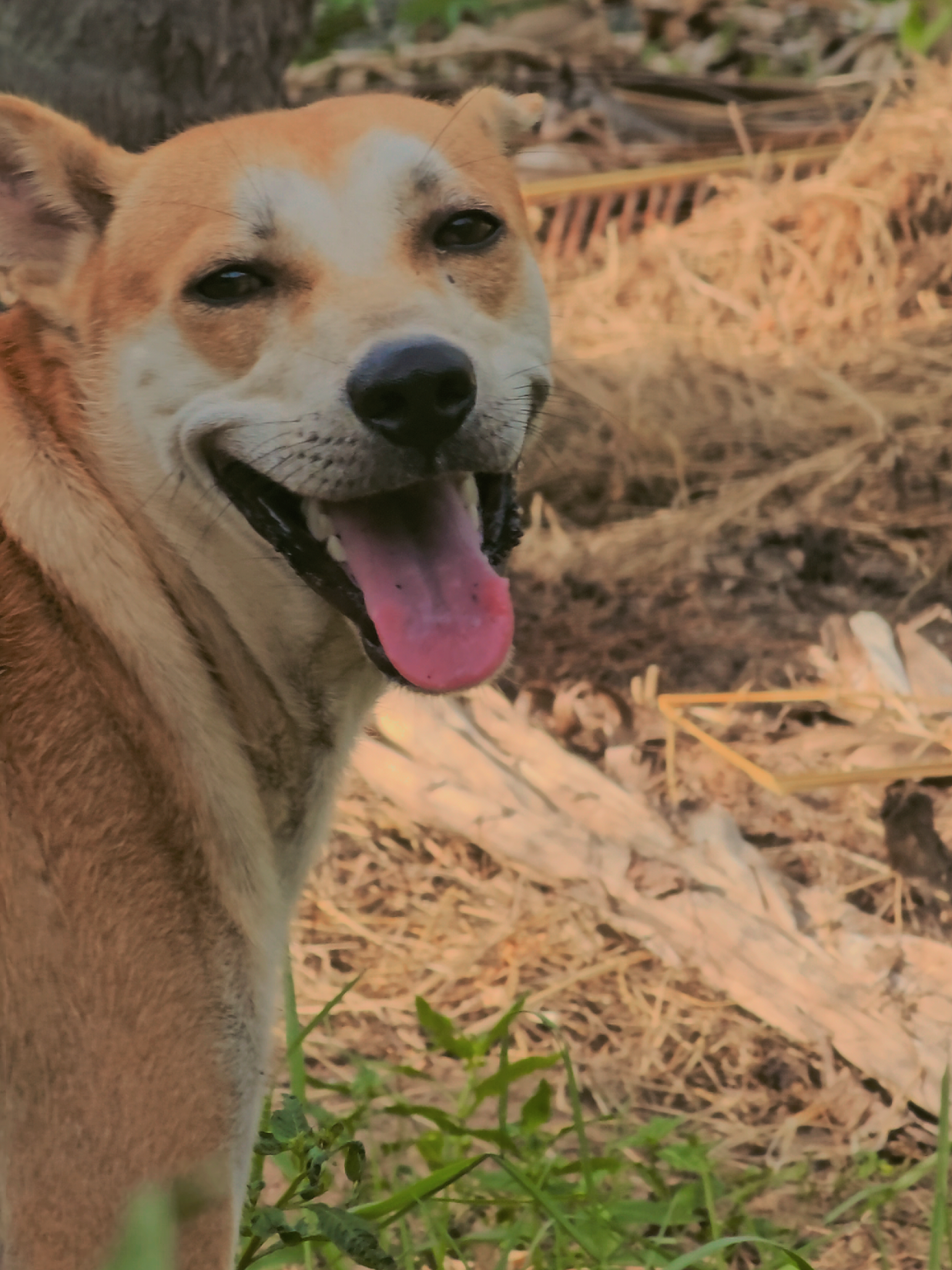 @𝗙𝗔𝗥𝗠 𝗪𝗜𝗡𝗚𝗦