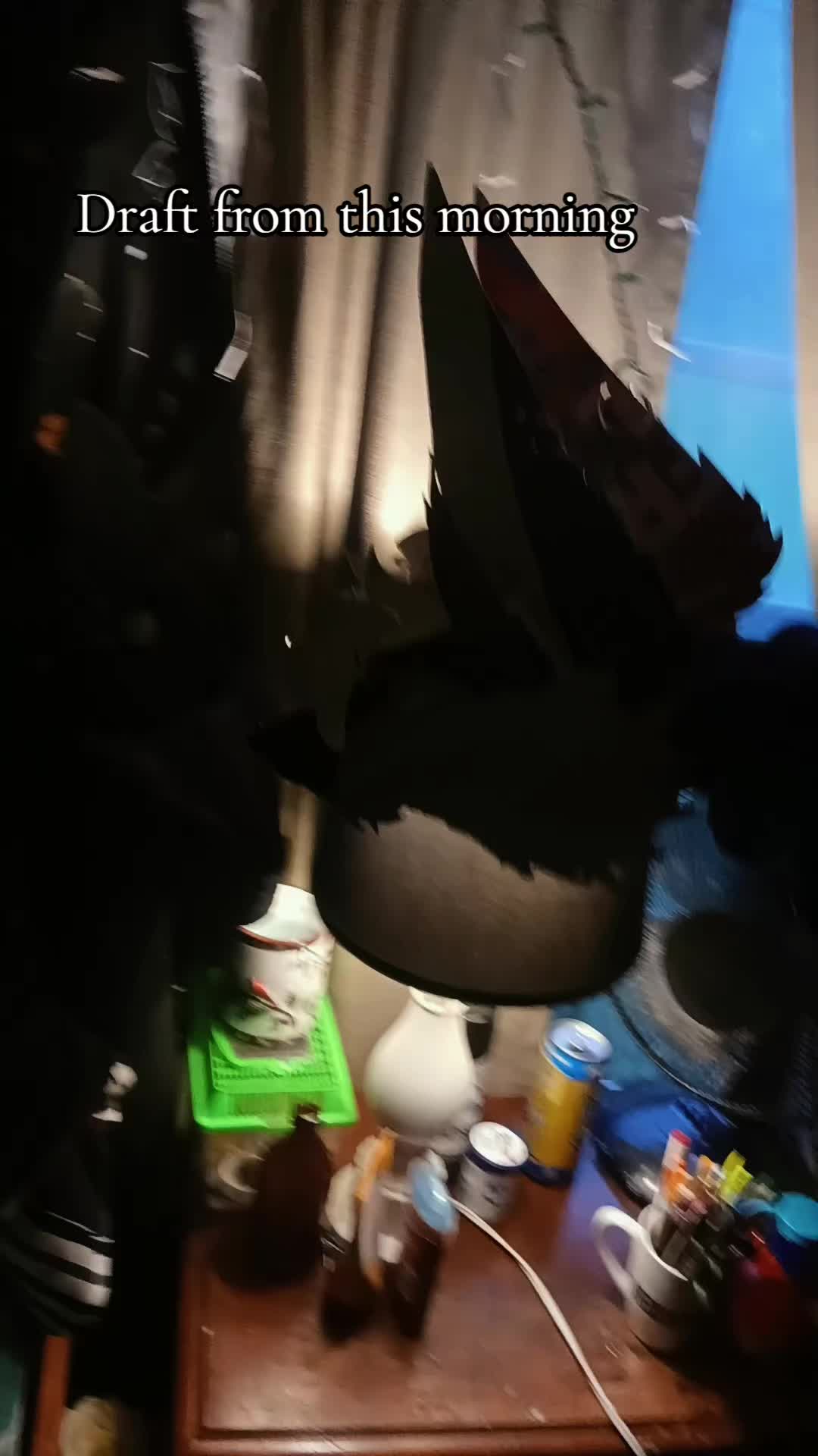 @🖤JayTheSlugcat💙