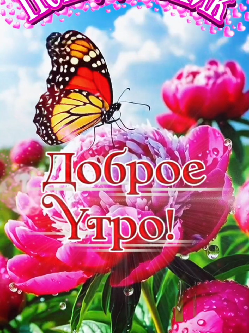 @Ольга