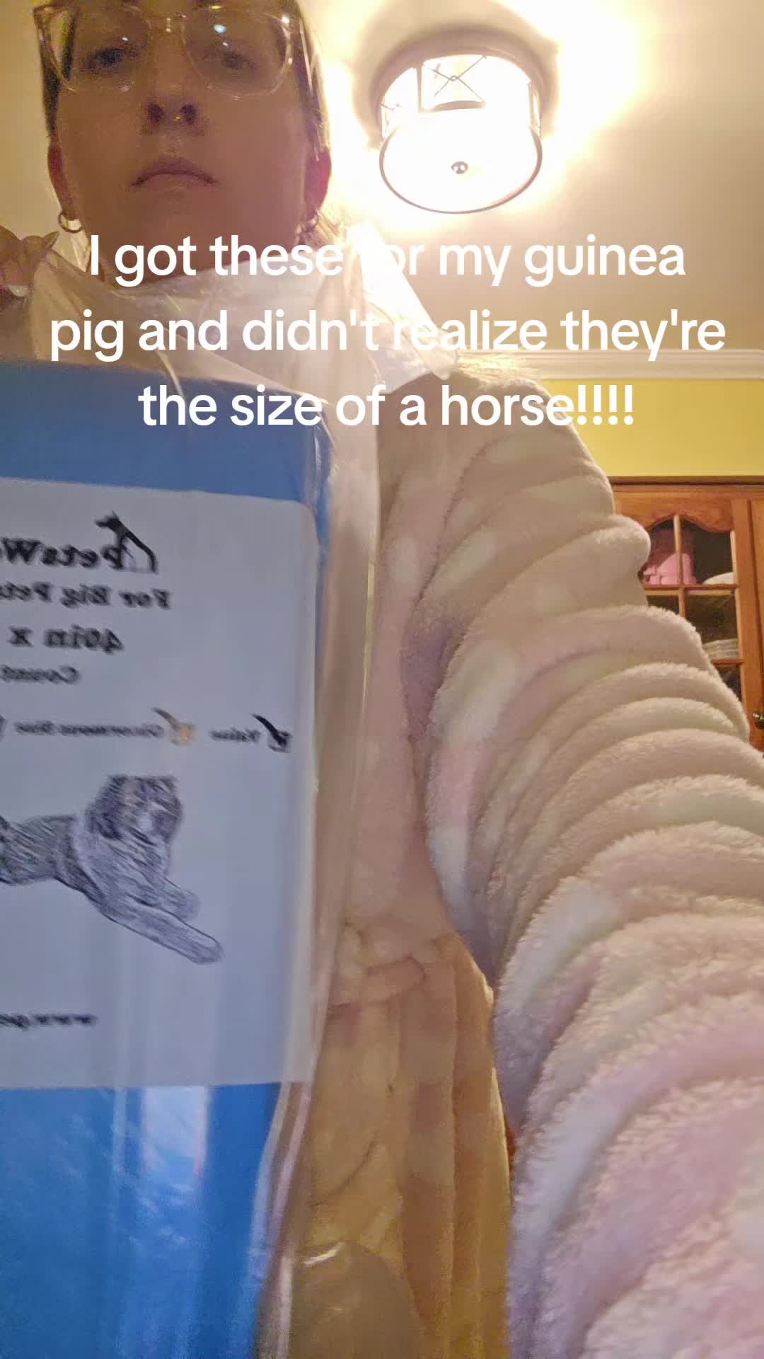 @The | Vegan | Mom