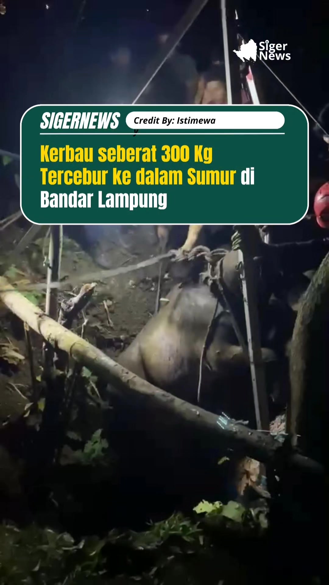@Siger News