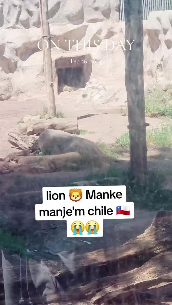 @Manley