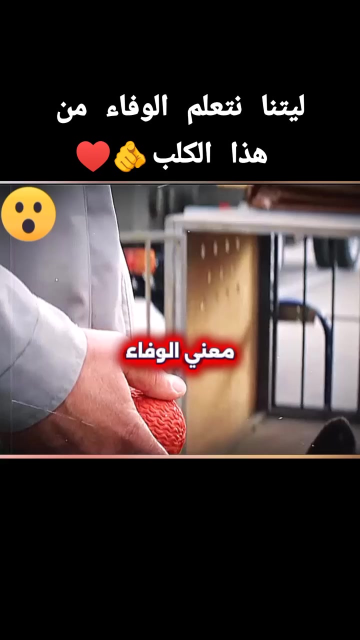 @𝓐𝓶𝓻𝓸