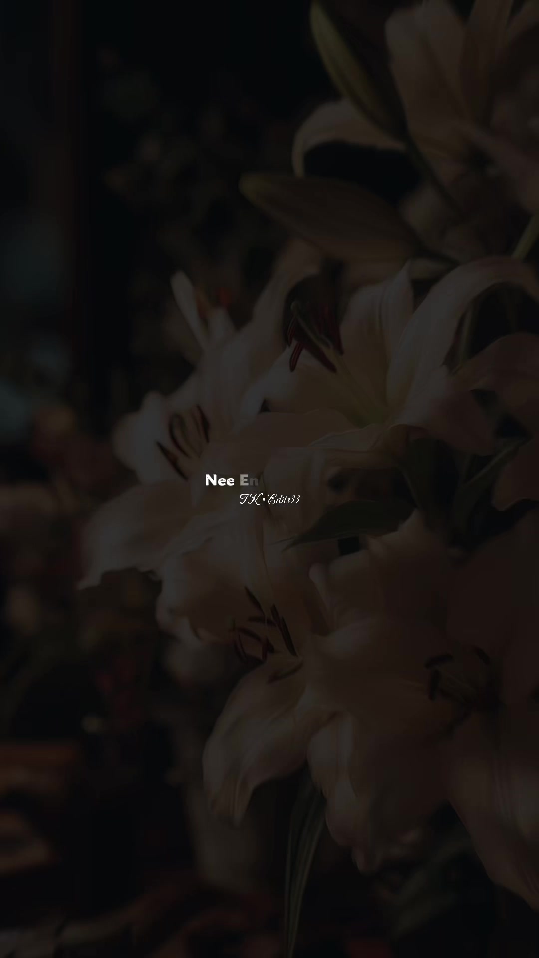 @ᥫ᭡ 𝐂𝐊•𝐄𝐝𝐢𝐭𝐬𝟎𝟑 🌸🦢!!