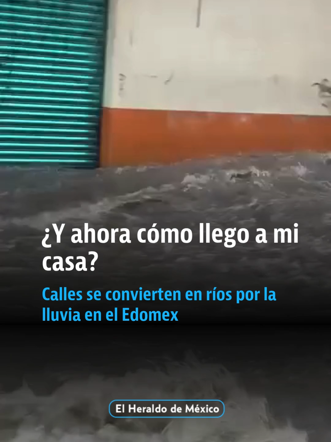 @elheraldodemexico