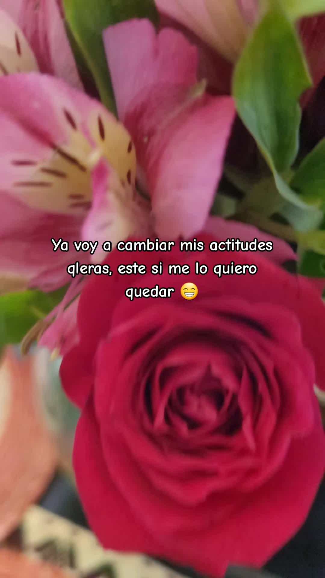 @🌝🌜