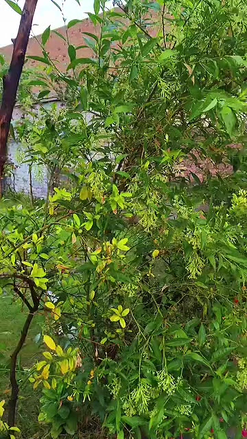 @𝐌𝐝 𝐀𝐃𝐍𝐀𝐍 𝐒𝐚𝐢𝐟