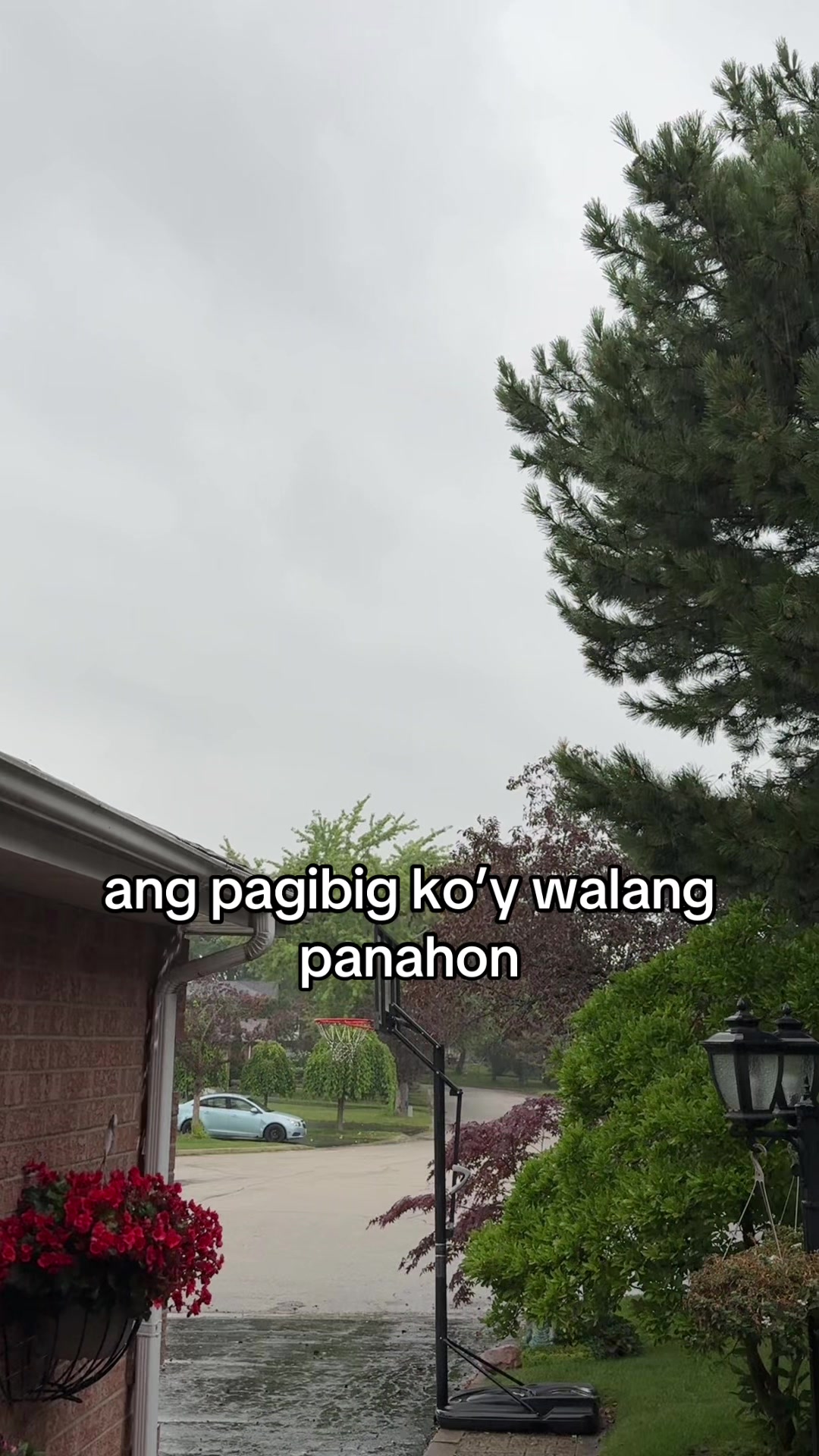 @Fern.
